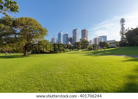 Sydney's Hyde Park and distant buildings