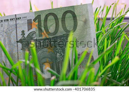 100 euro bill growing in the green grass, financial growth concept.