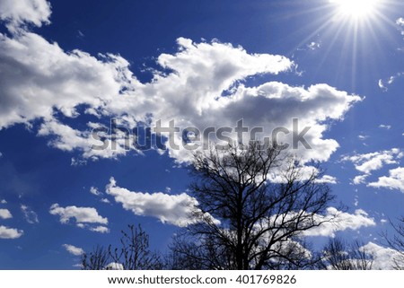 Blue sly and clouds. Sun beam. Sun ray through clouds. Silhouette of tree branches