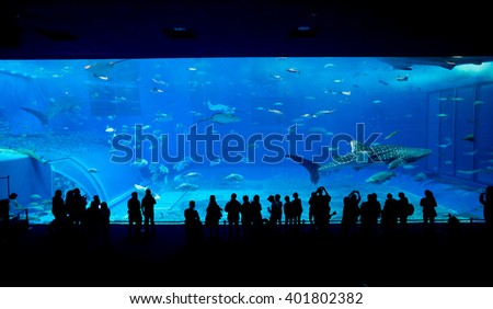 Aquarium in okinawa