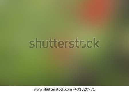 Abstract background. Soft blur. Abstract background for web design