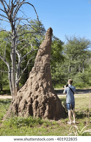 Giant termite hill near Etosha National Park, Namibia, Africa.