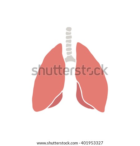 human lungs icon. vector illustration