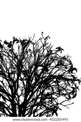 Withered Tree, Leaf and Branches Silhouette on a White Background.