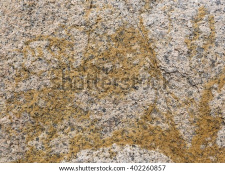 Background of colored sea stones close up