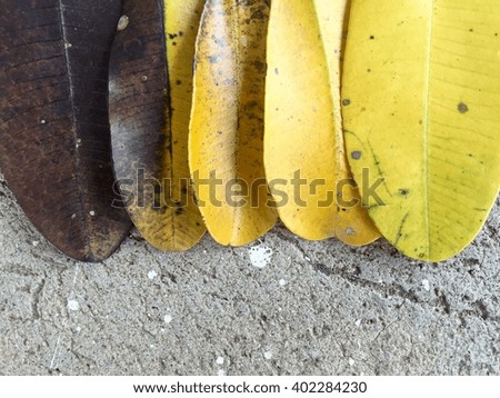 Autumn background with leaves. Yellow leaves on a cement background.