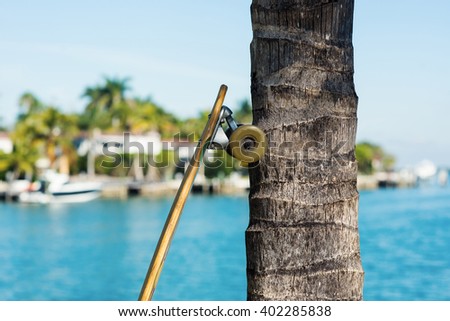 Longboard detail against a palm tree in Miami Beach.
