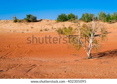 Red "Martian" landscape of reddish sand with high iron content with birches in the foreground and small trees in the background
