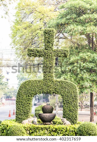 Green plant in the cross shape with landscape background