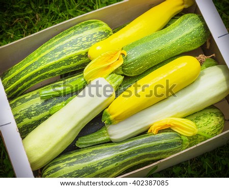 Fresh healthy green zucchini courgettes cucumber in brown wooden box the open air on grass Royalty-Free Stock Photo #402387085