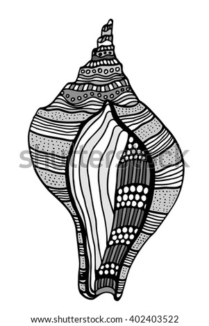 Zentangle stylized shell. Hand Drawn aquatic doodle vector illustration. Sketch for tattoo or makhenda. Seashell collection. Ocean life.