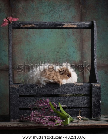A textile guinea pig in a planter box with a sprig of flowers.