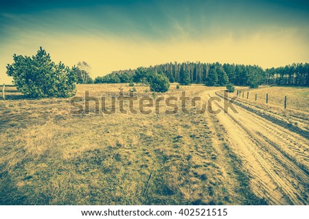 Early spring landscape, meadow, rural road, field with dry grass and trees, vintage photo