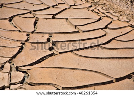 dried and cracked mud in the near of a dried up creek in Desert Valley, Nevada