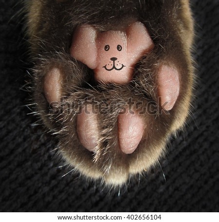 Cat's paw with a  smile tattoo 