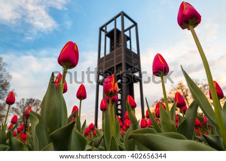 Tulips in Bloom at the Netherlands Carillon Royalty-Free Stock Photo #402656344