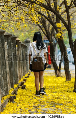 Streets with flowers, floral walkways,Yellow flowers, flowers, Yellow flowers, flowers, Golden Tree.
