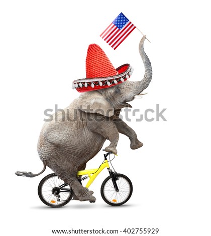 Crazy elephant with sombrero and american flag driving a bicycle. Republican elephant going to elections. Digital artwork on political theme.