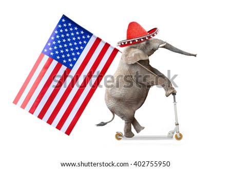 Crazy elephant with sombrero and american flag driving a push scooter. Republican elephant going to elections. Digital artwork on political theme.