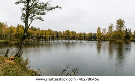 landscape with mountains trees and a river in front in autumn
