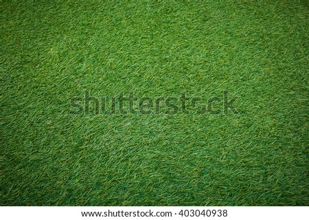 Artificial Grass Field Top View Texture.