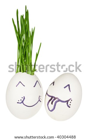 Chicken egg with a germinating grass.  Ludicrous image of in love persons