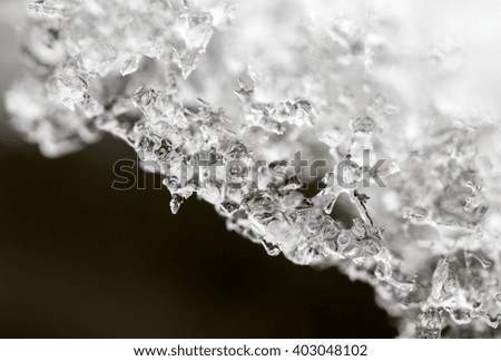 Snow in nature as a background. macro