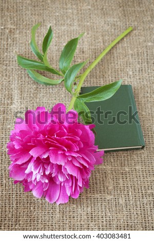 Book with peony beautiful flower. Teacher's day concept