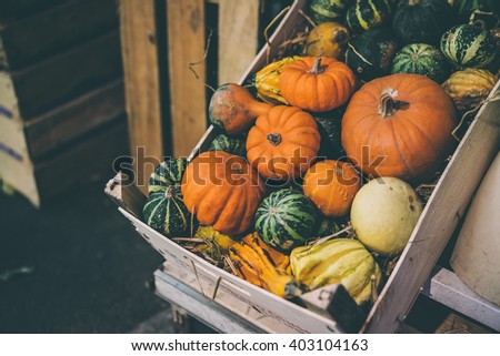 Pumpkins on sale at one of the markets in Genova, Italy. Toned picture