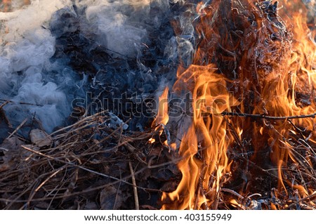 Bonfire flame with high flames close to the big smoke