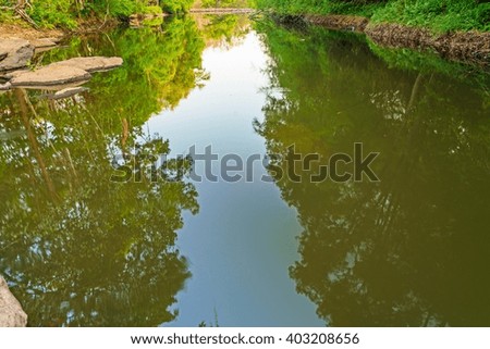 Lush Trees and blue sky reflected in still water lake 