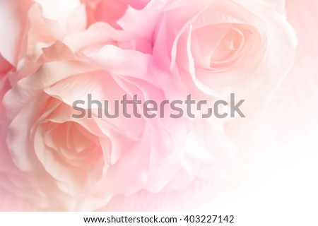 Sweet color roses in soft style for background Royalty-Free Stock Photo #403227142