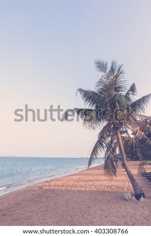 Coconut tree on the tropical beach and sea - Vintage Filter