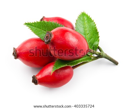 Rose hip isolated on a white background. Royalty-Free Stock Photo #403335724