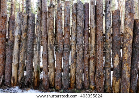Natural background - a fence made of logs of pine. Rough raw thin pine logs.