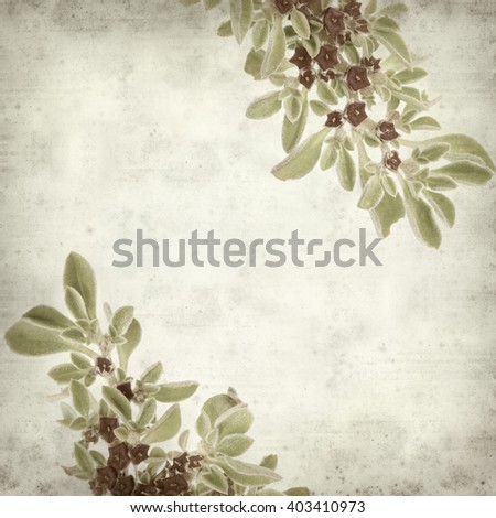 textured old paper background with succulent plant  Aizoon canariense, Canarian iceplant