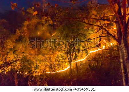 Blur image of wildfire use for background.