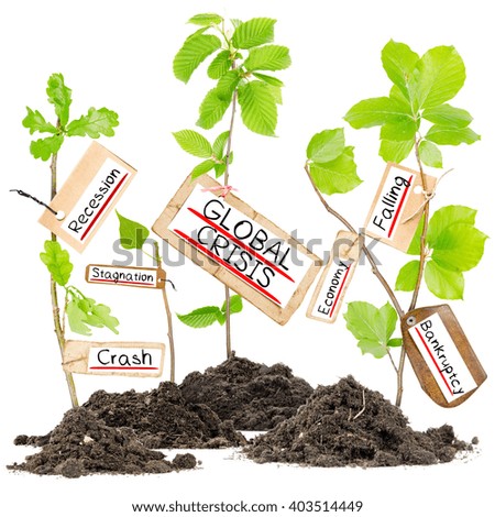 Photo of plants growing from soil heaps with GLOBAL CRISIS conceptual words written on paper cards