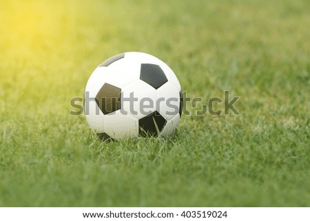 soft focus of Soccer ball and Football  on grass in the sunset