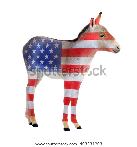 Democrat donkey colored as a american flag isolated on white background. Donkey going to elections. Digital artwork on political theme. 