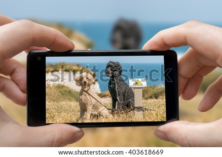 Man (photographer) is photographing dogs with smartphone.