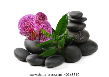 Pink orchid and stones on the white background