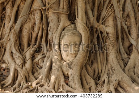  Lord Buddha  face of Wat Mahathat , Ayutthaya,Thailand 