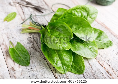 Fresh organic sorrel leaves on old white wooden background. Healthy food concept.