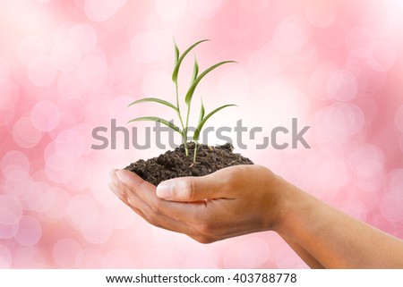 Hand holding sprout Trees and soil with Blurred pink Bokeh background. Education, Health care and Organ donate concept.