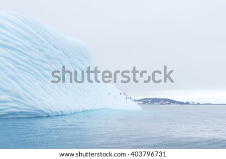 iceberg floating in antarctica with penguins