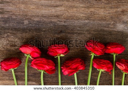 border  of fresh red ranunculus flowers on wooden nackground