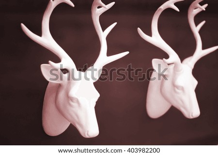 Stags head antlers on wall plain black background.
