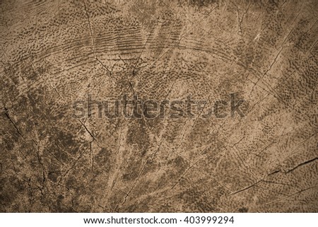 Wooden Cutting Board vintage Background Texture