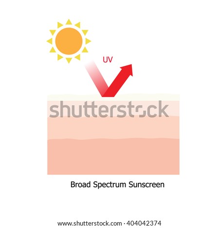 Infographic about sunscreen lotion protect human skin from UV ray 